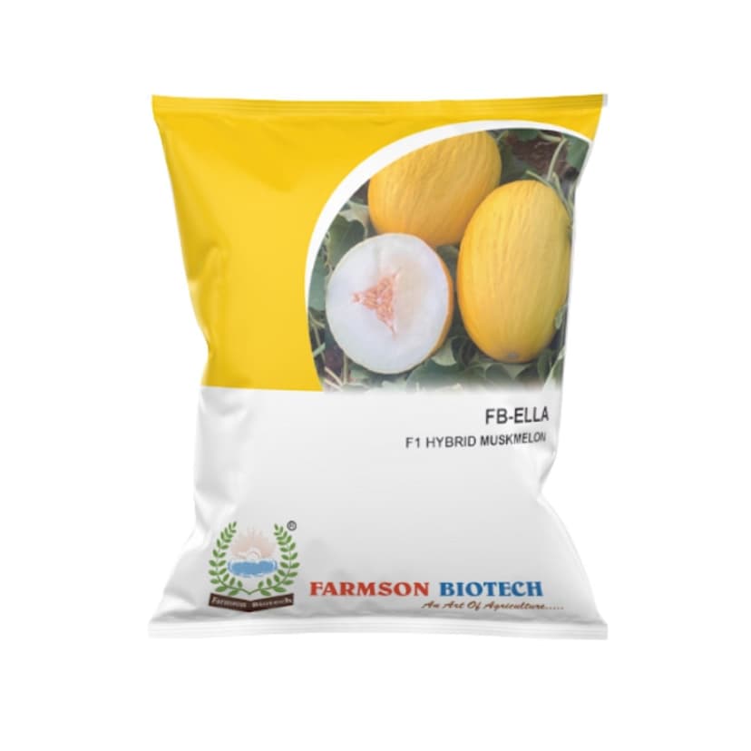ELLA F1 Hybrid Muskmelon Seeds