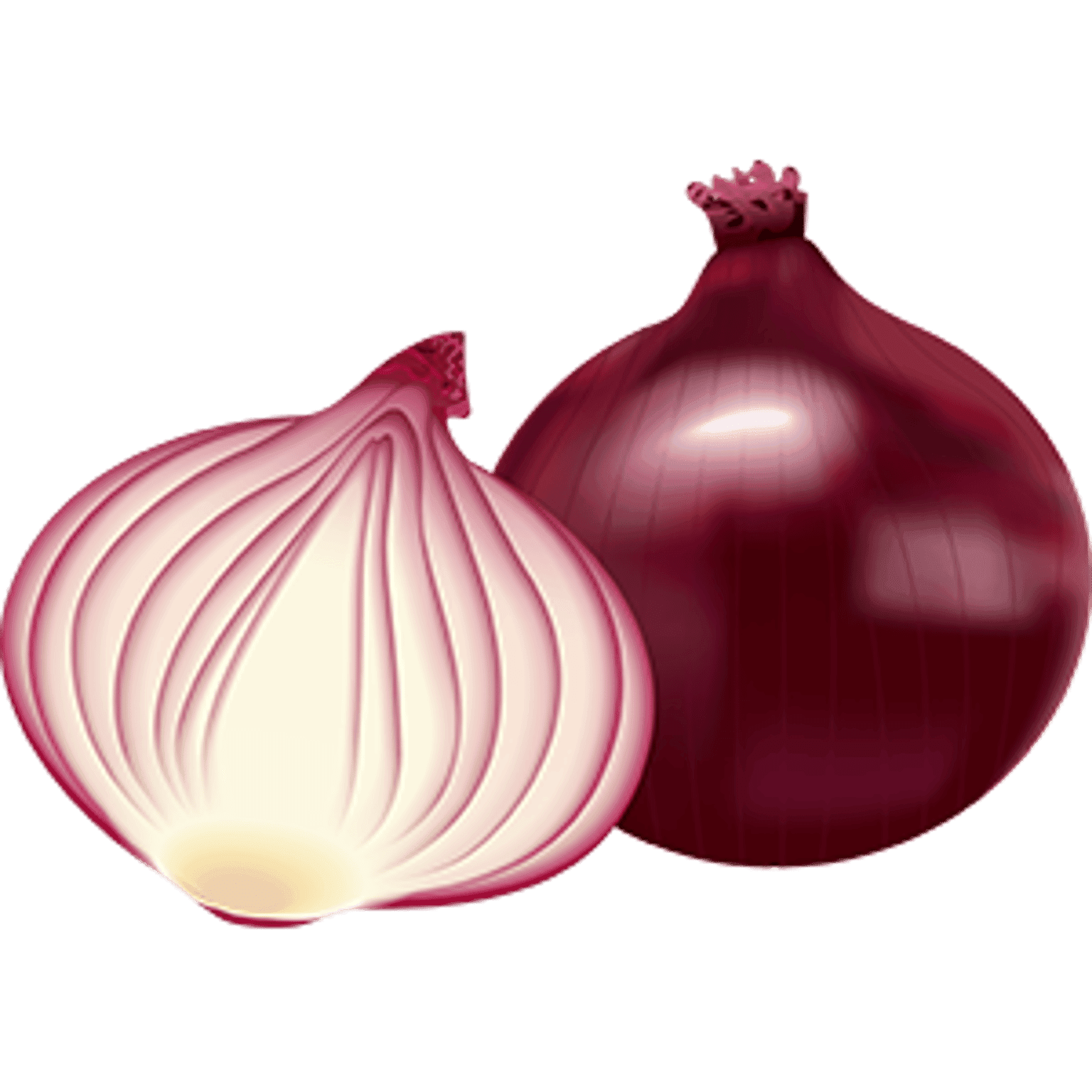 Onion