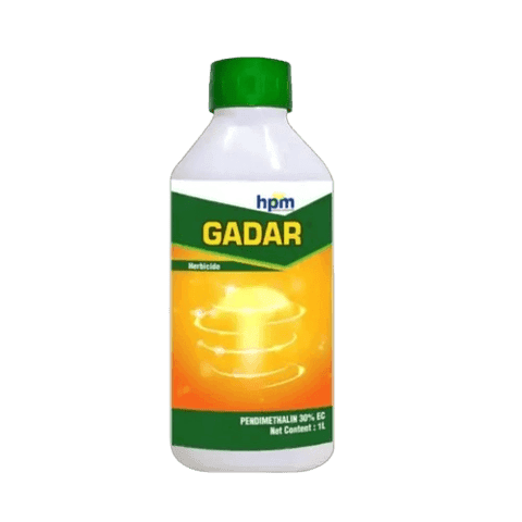 Gadar
