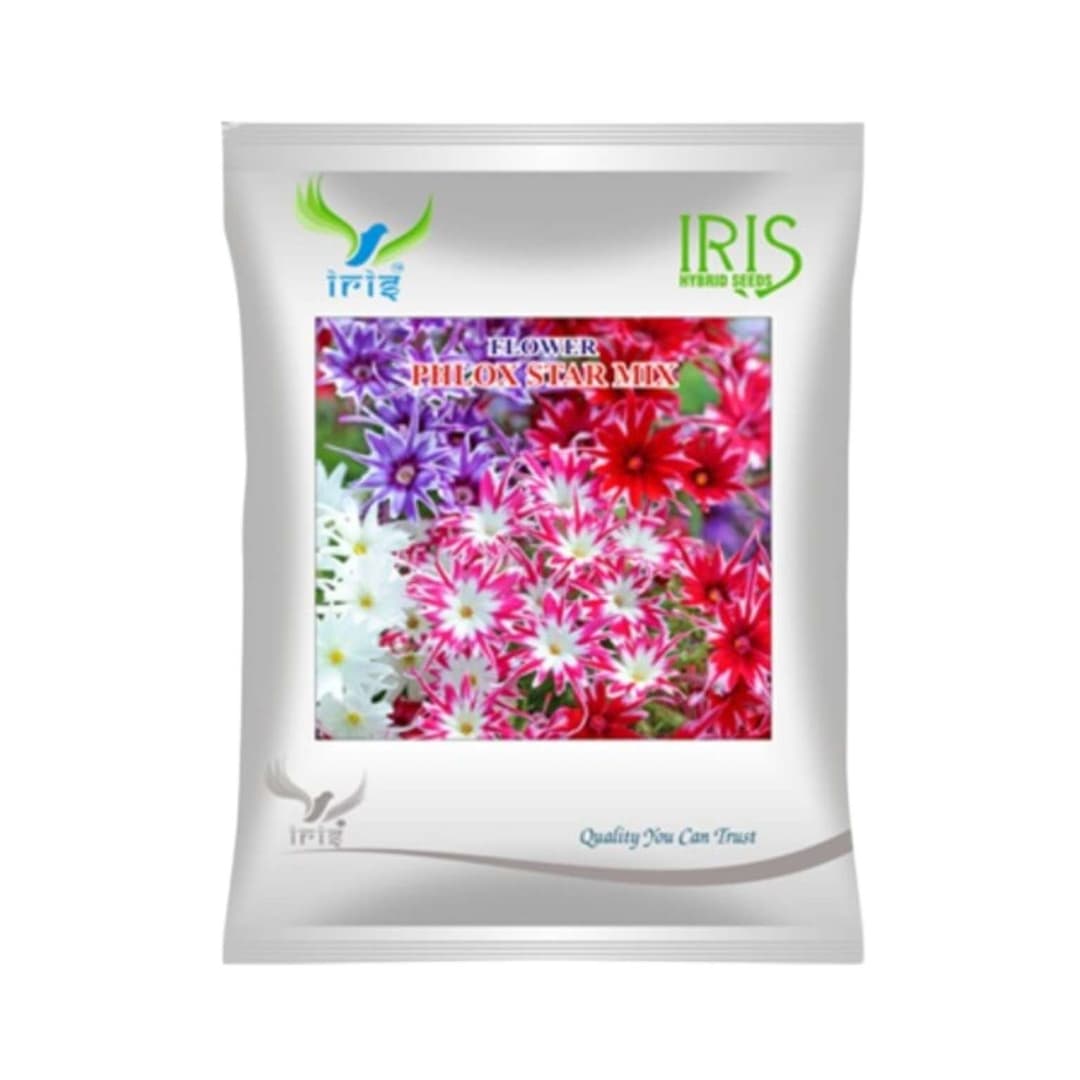 Hybrid Phlox Star Mix Flower Seeds (300 Seeds)