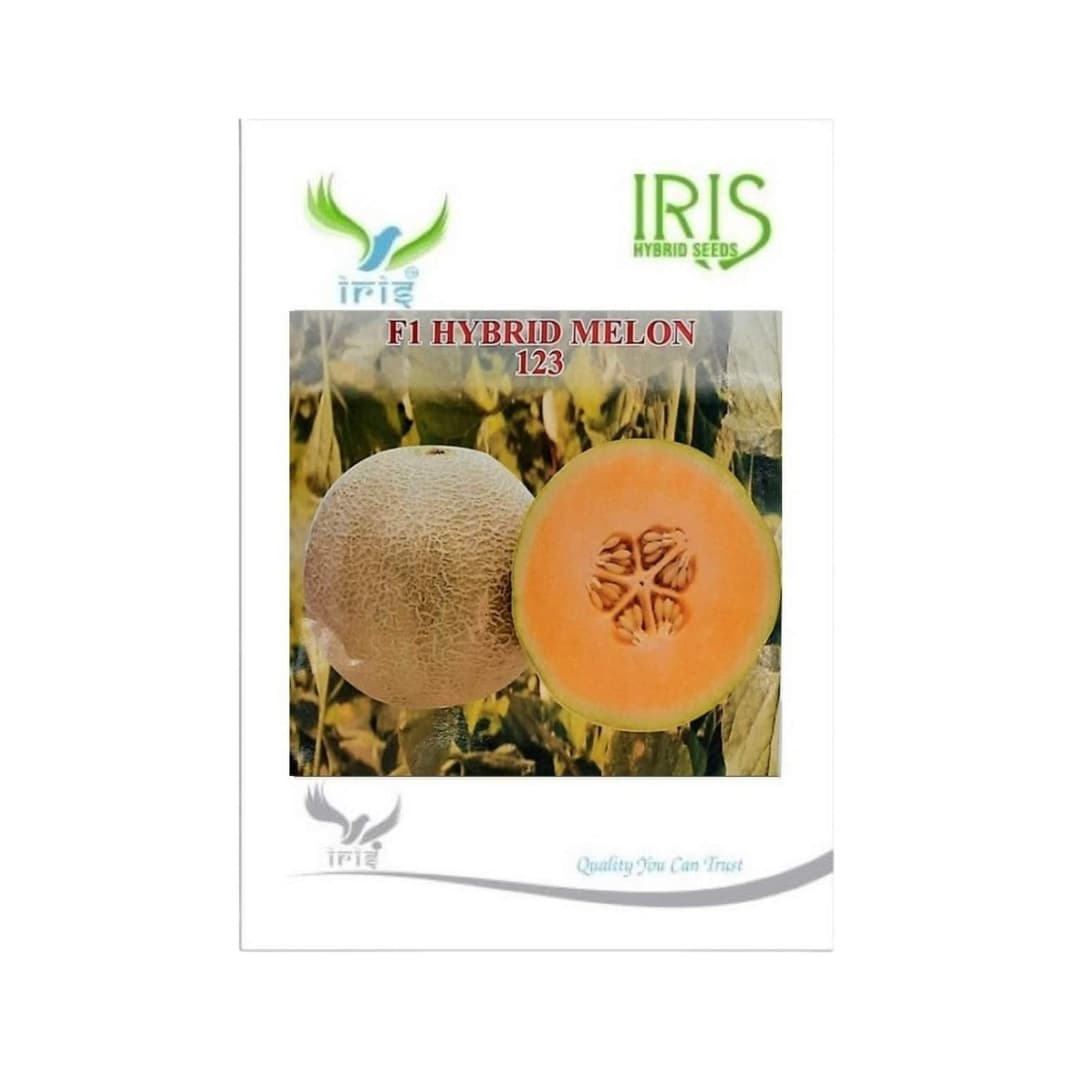 Hybrid Musk Melon123 Fruit Seeds