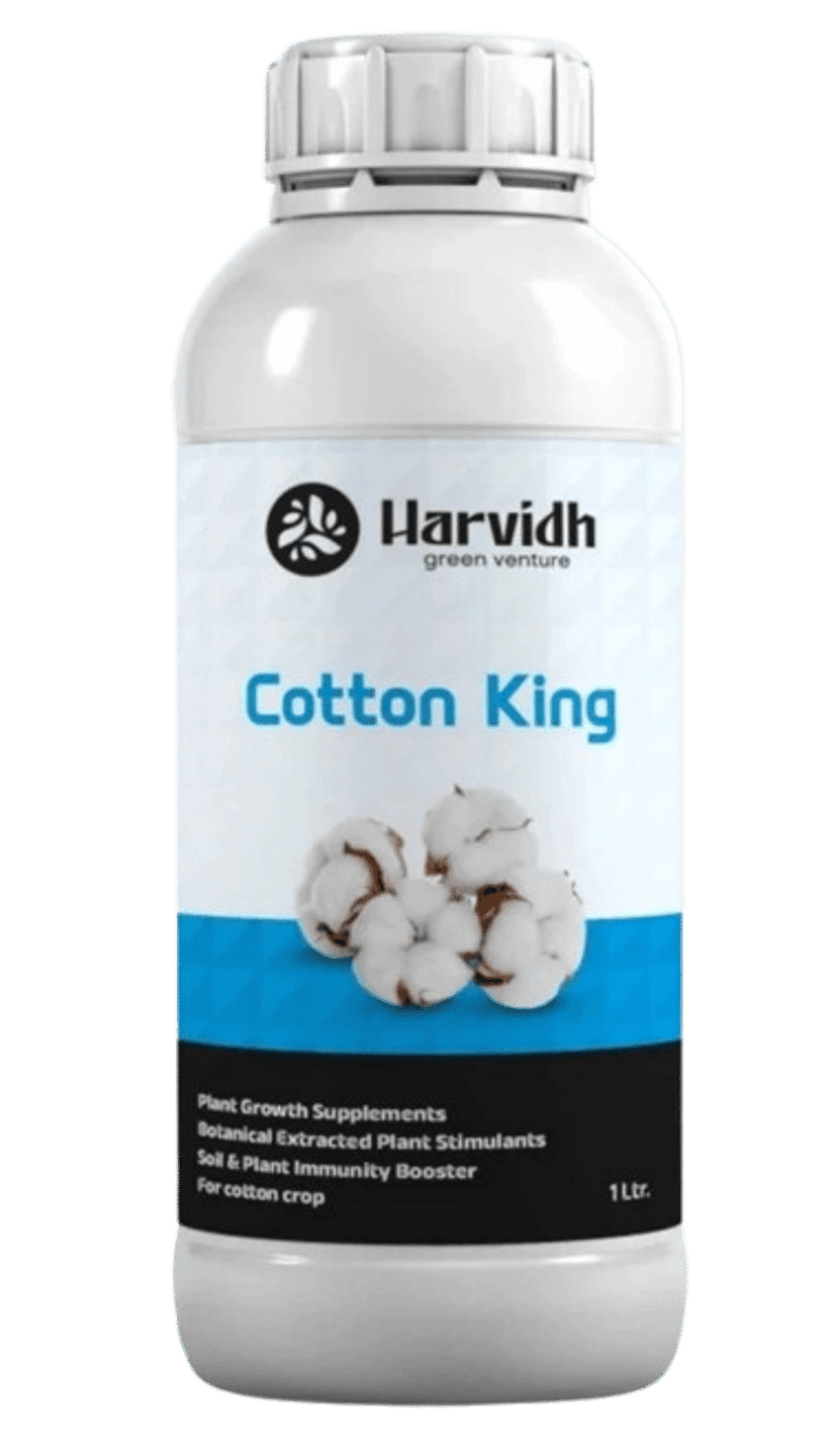 COTTON KING