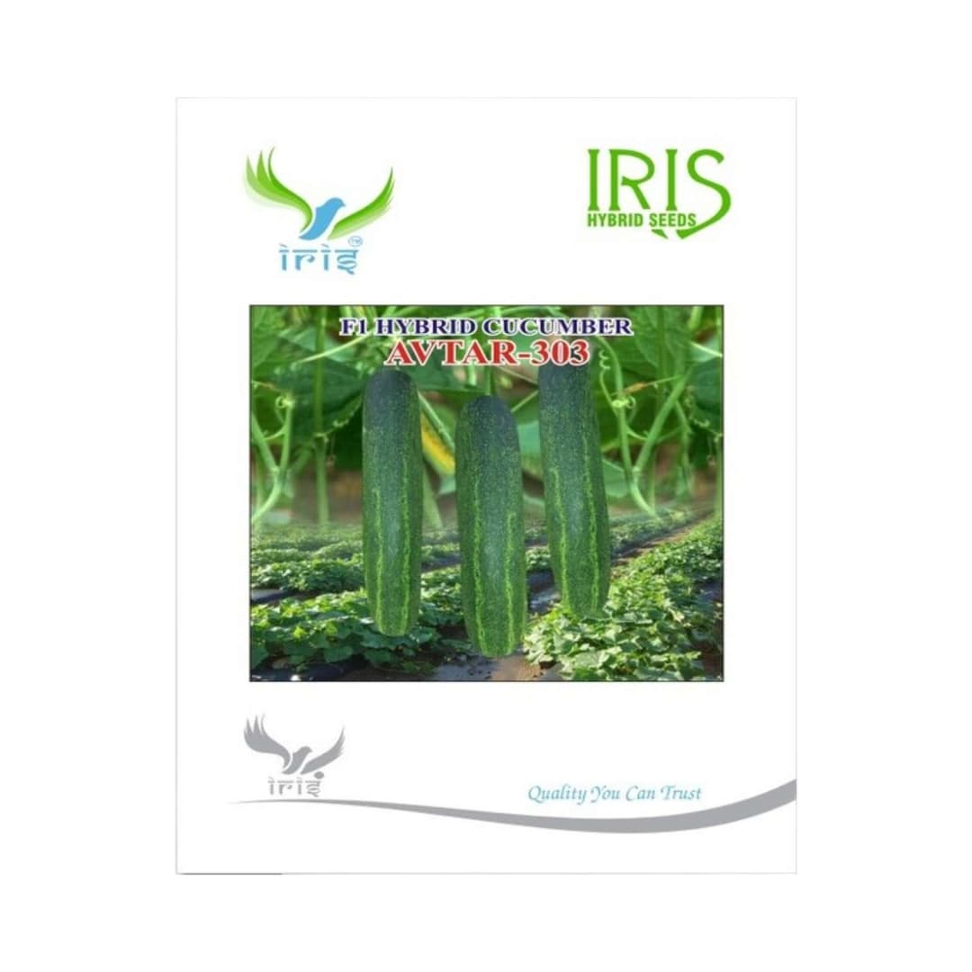 Hybrid Cucumber Avtar 303 Vegetable Seeds
