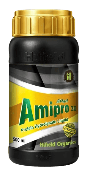 Ami Pro 30