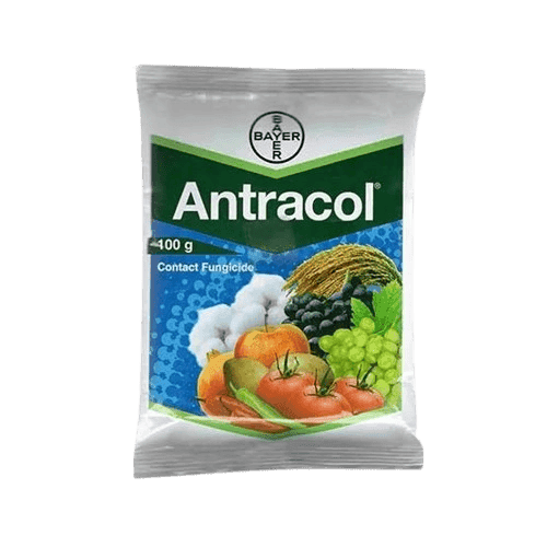 Antracol