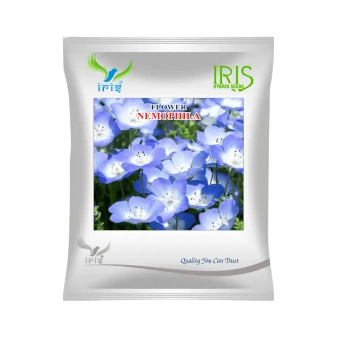 Hybrid Nemophila Mix Flower Seeds (300 Seeds)
