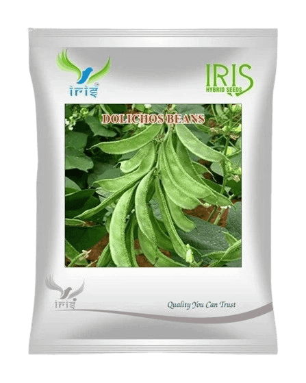 Hybrid Dolichos Beans (Sem Phalli) NA 50g Vegetable Seeds