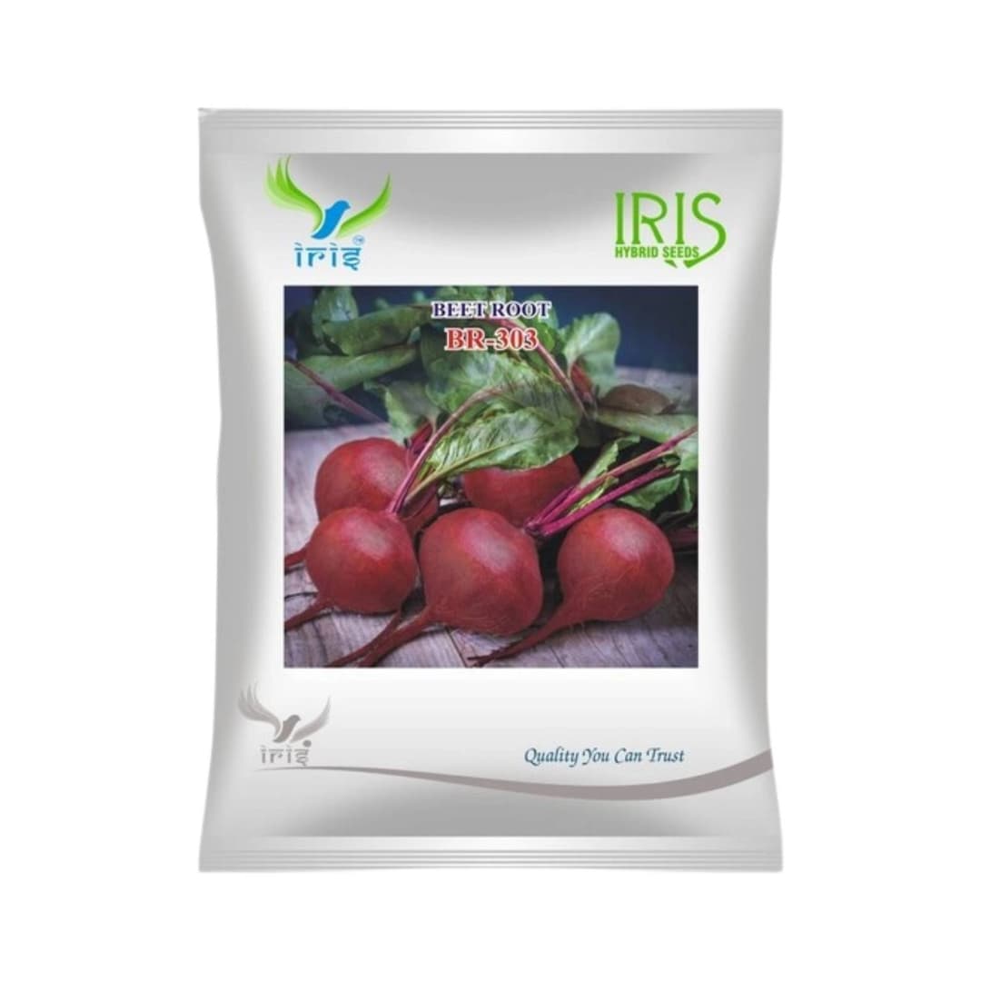 Hybrid Beetroot BR 303 Vegetable Seeds