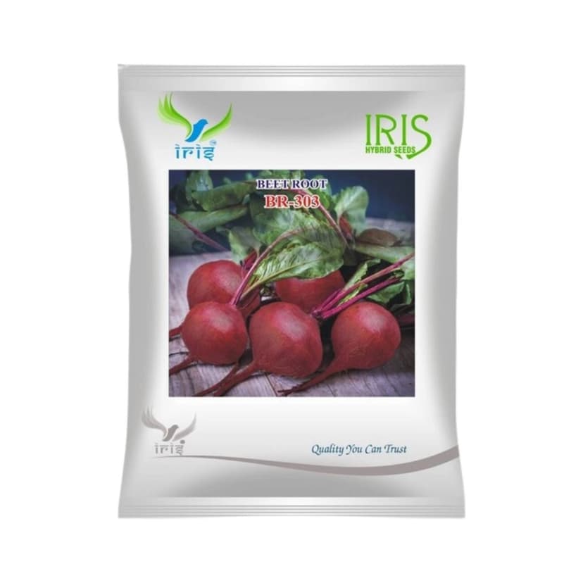 Hybrid Beetroot BR 303 Vegetable Seeds