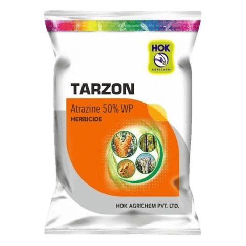 Tarzon