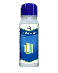 CAMALUS