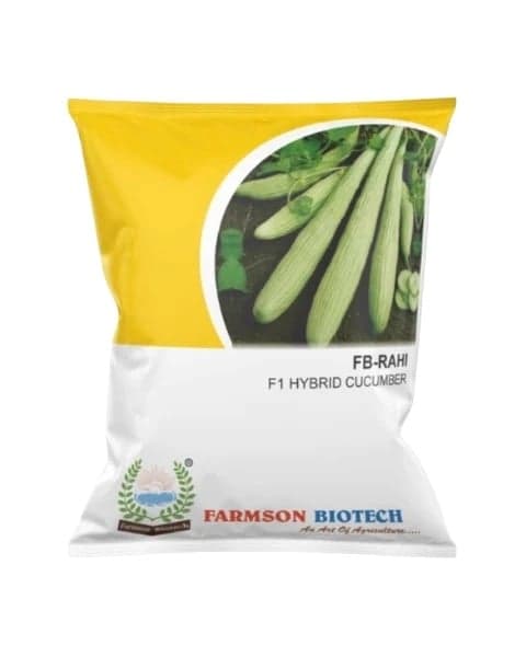 CUCUMBER  FB-RAHI F1 HY