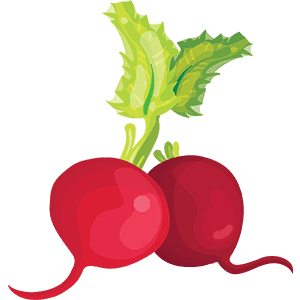 Beetroot