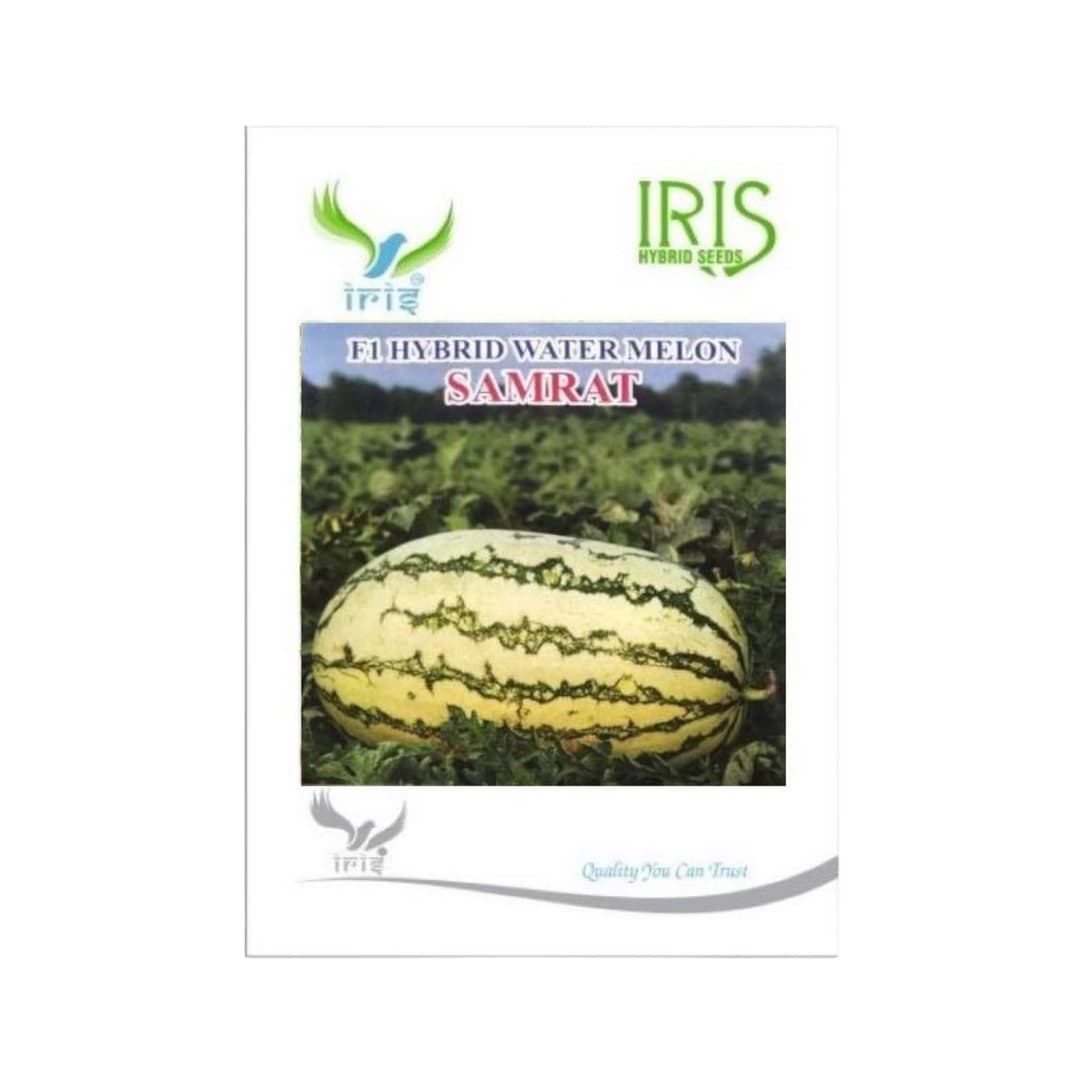 Hybrid Watermelon Samrat Fruit Seeds