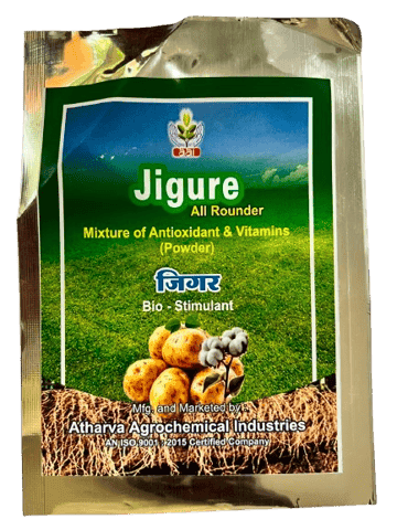 JIGURE ALL ROUNDER