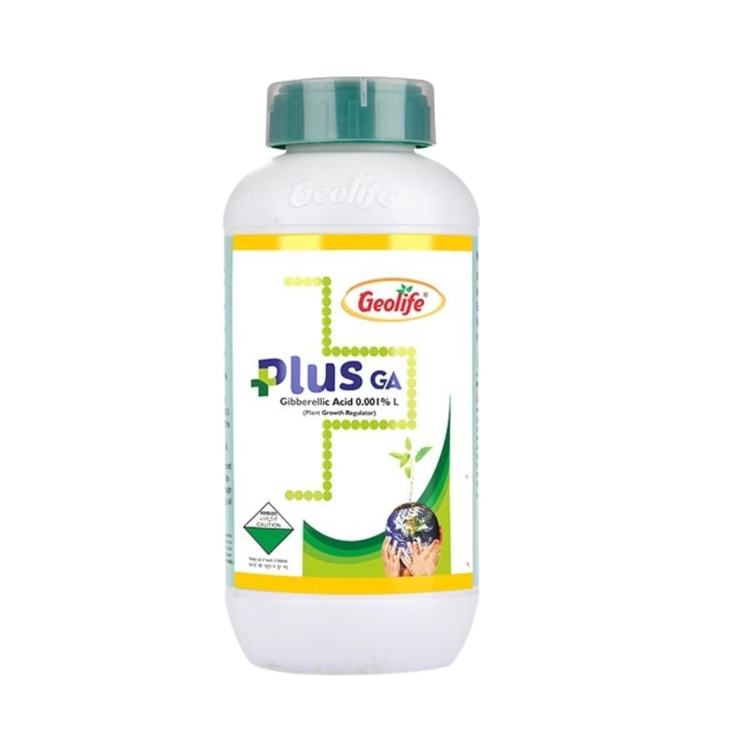 Plus GA