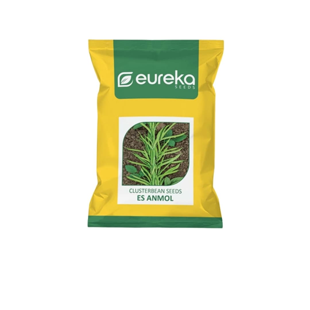 Clusterbean ES Anmol Improved Vegetable Seeds