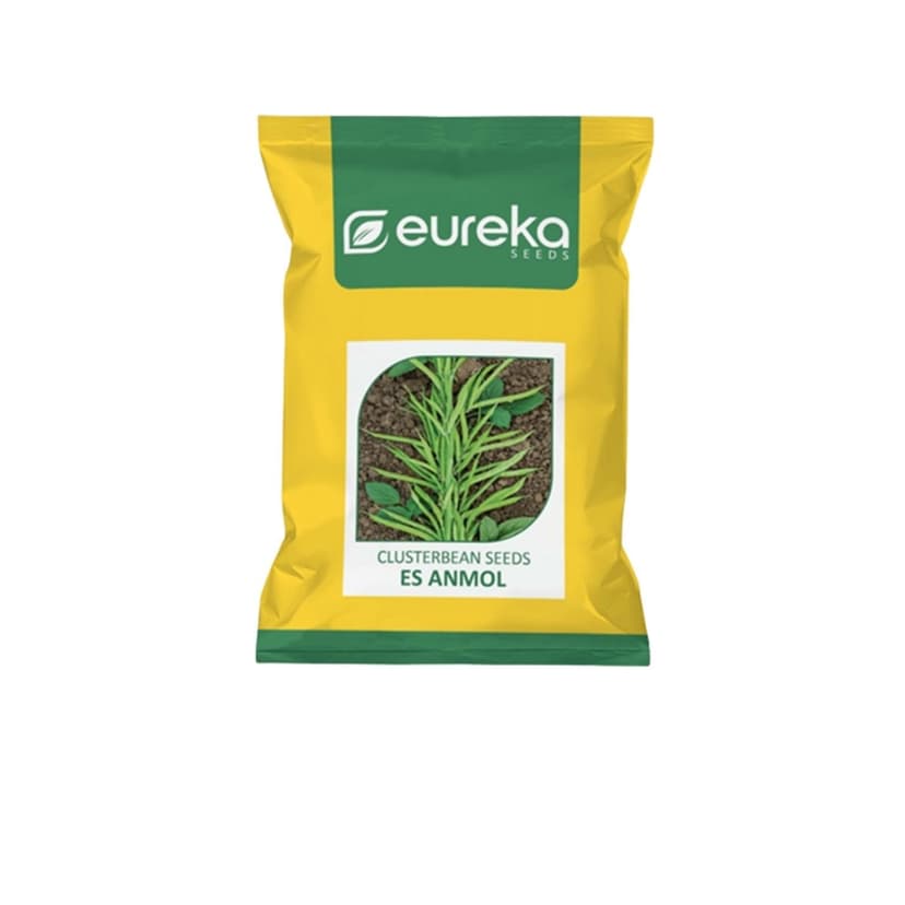 Clusterbean ES Anmol Improved Vegetable Seeds