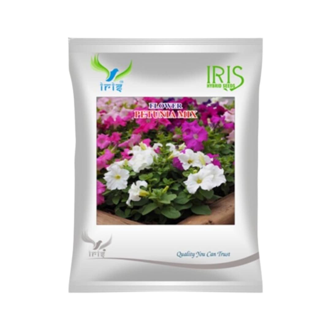 Hybrid Petunia Mix Flower Seeds (300 Seeds)