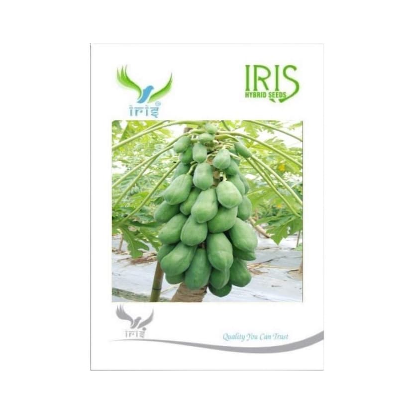Hybrid Papaya Fruit Seeds