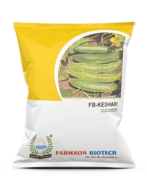 CUCUMBER FB-KESHARI