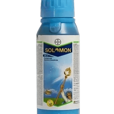 Solomon