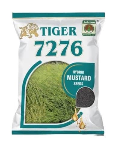 Tiger 7276 Hybrid Mustard Seeds