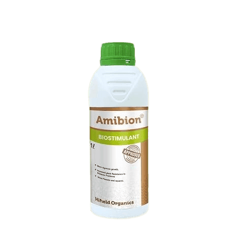 Amibion