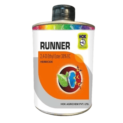 Runner