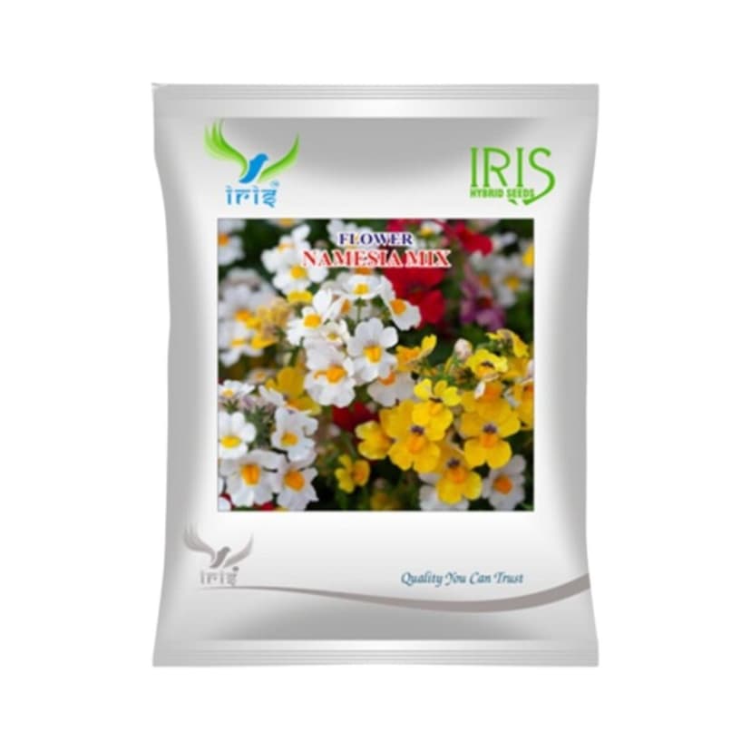 Hybrid Namesia Mix Flower Seeds