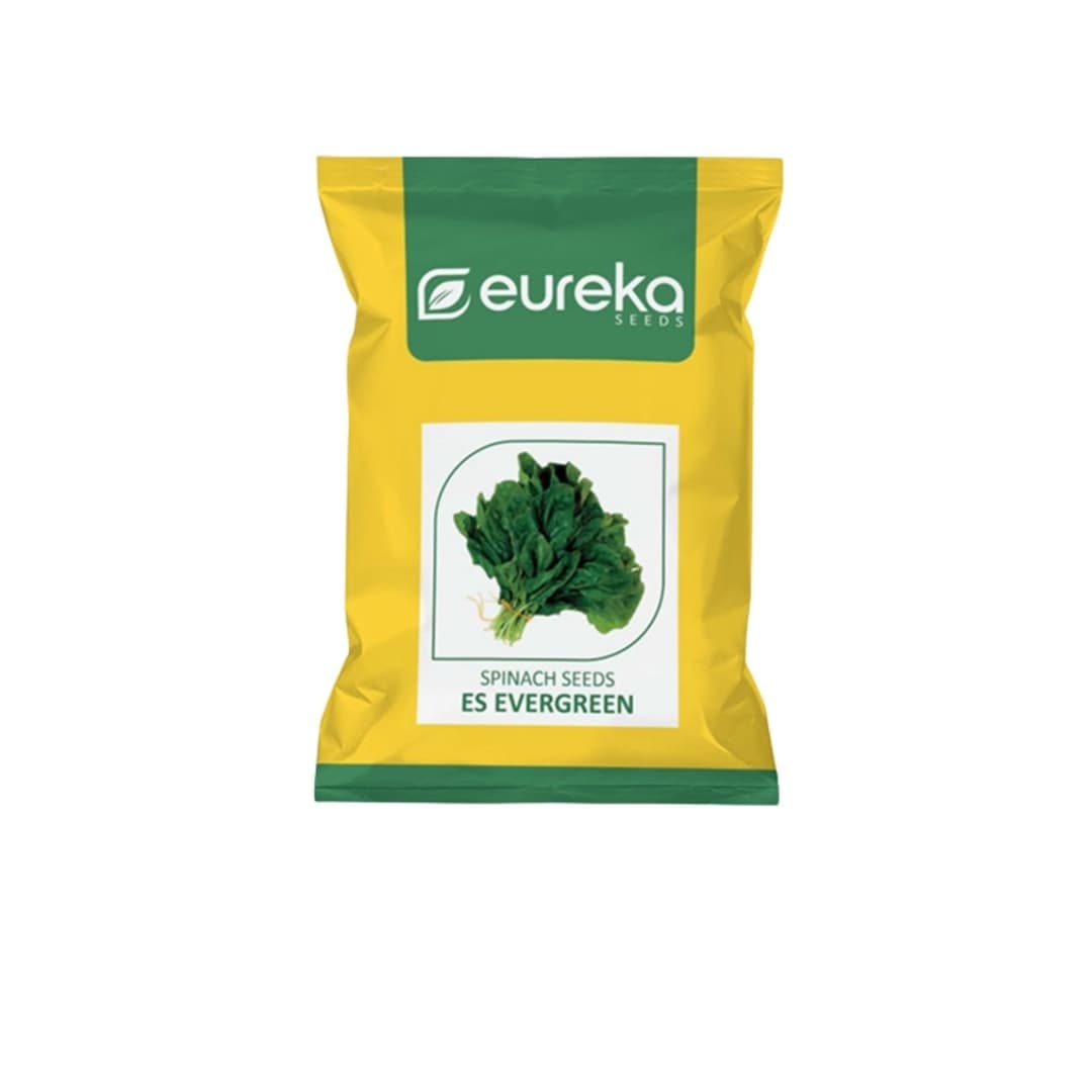 Palak ES Evergreen Improved vegetable seeds
