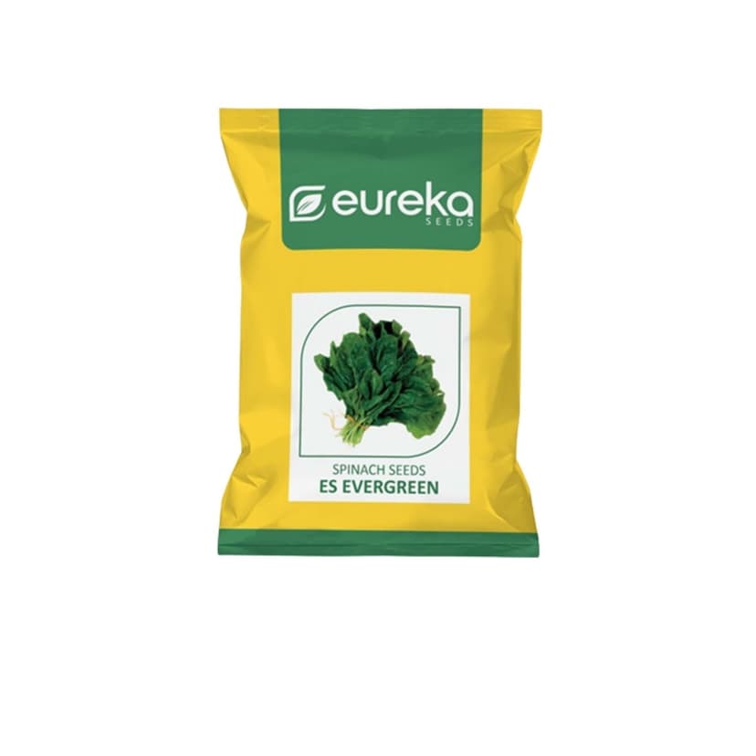 Palak ES Evergreen Improved vegetable seeds