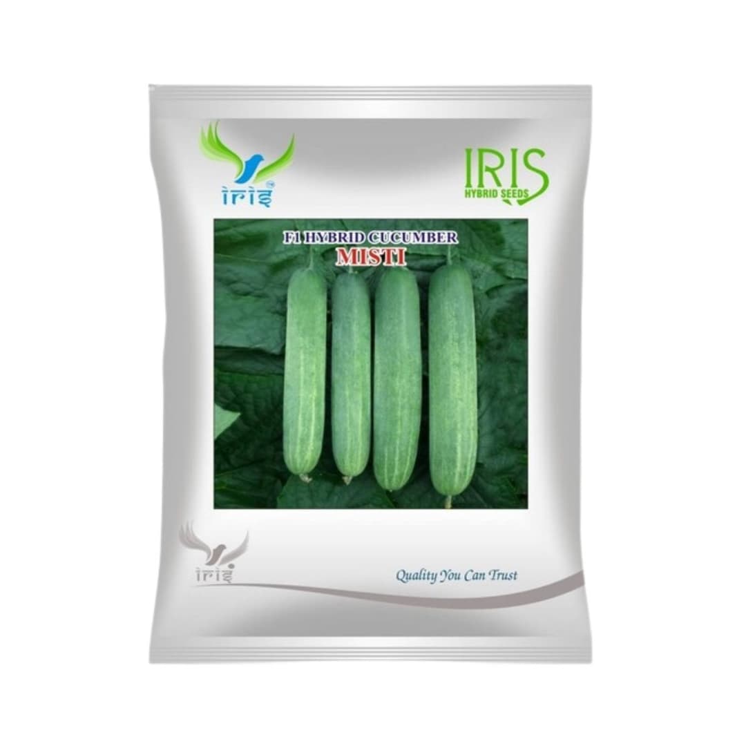 Hybrid Cucumber Misti Vegetable Seeds