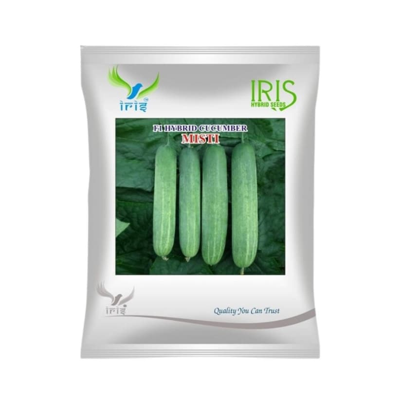 Hybrid Cucumber Misti Vegetable Seeds
