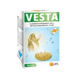 Vesta