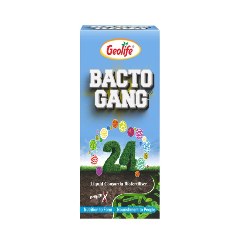 Bactogang24