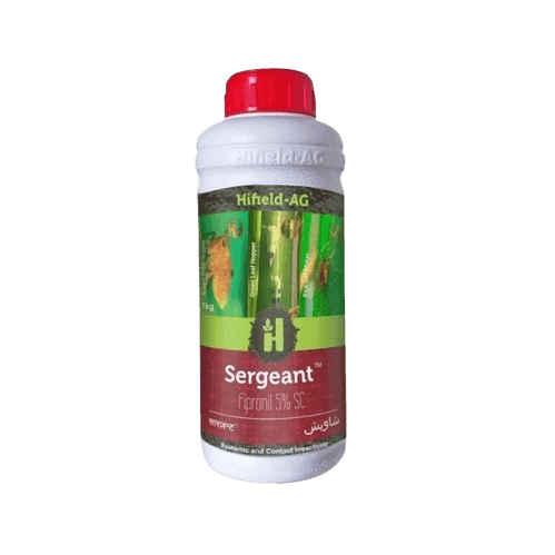 Sergeant