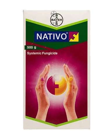 Nativo