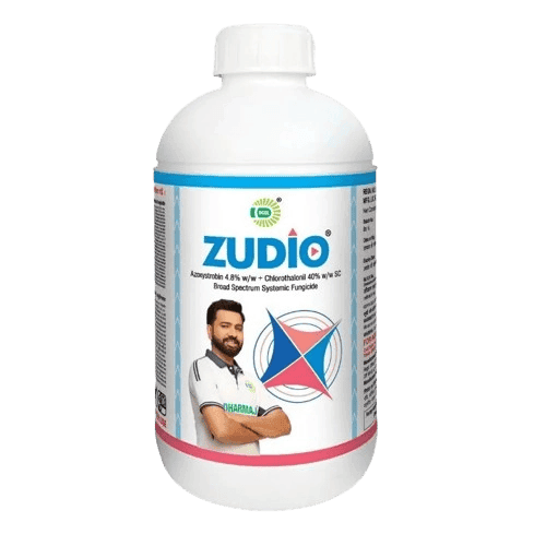 ZUDIO