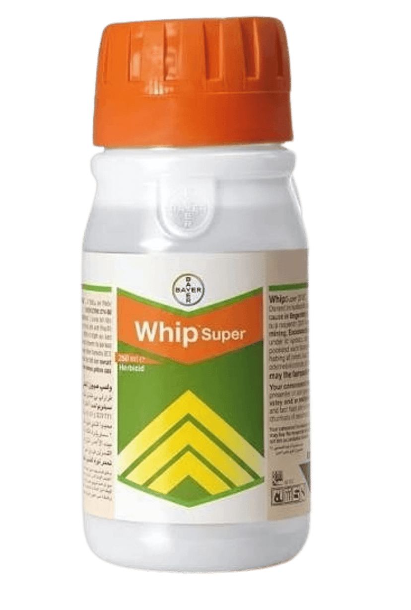 Whip Super