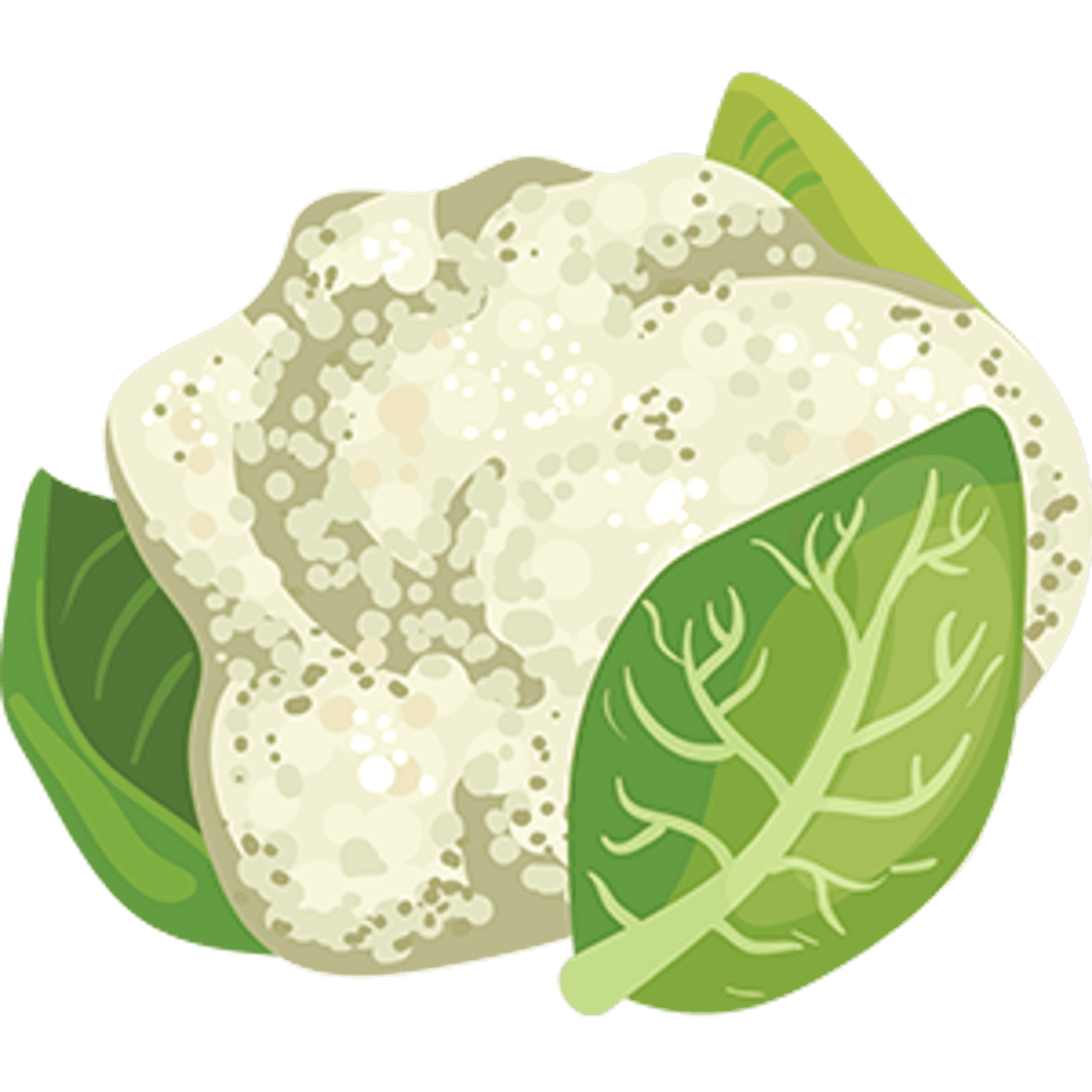 Cauliflower