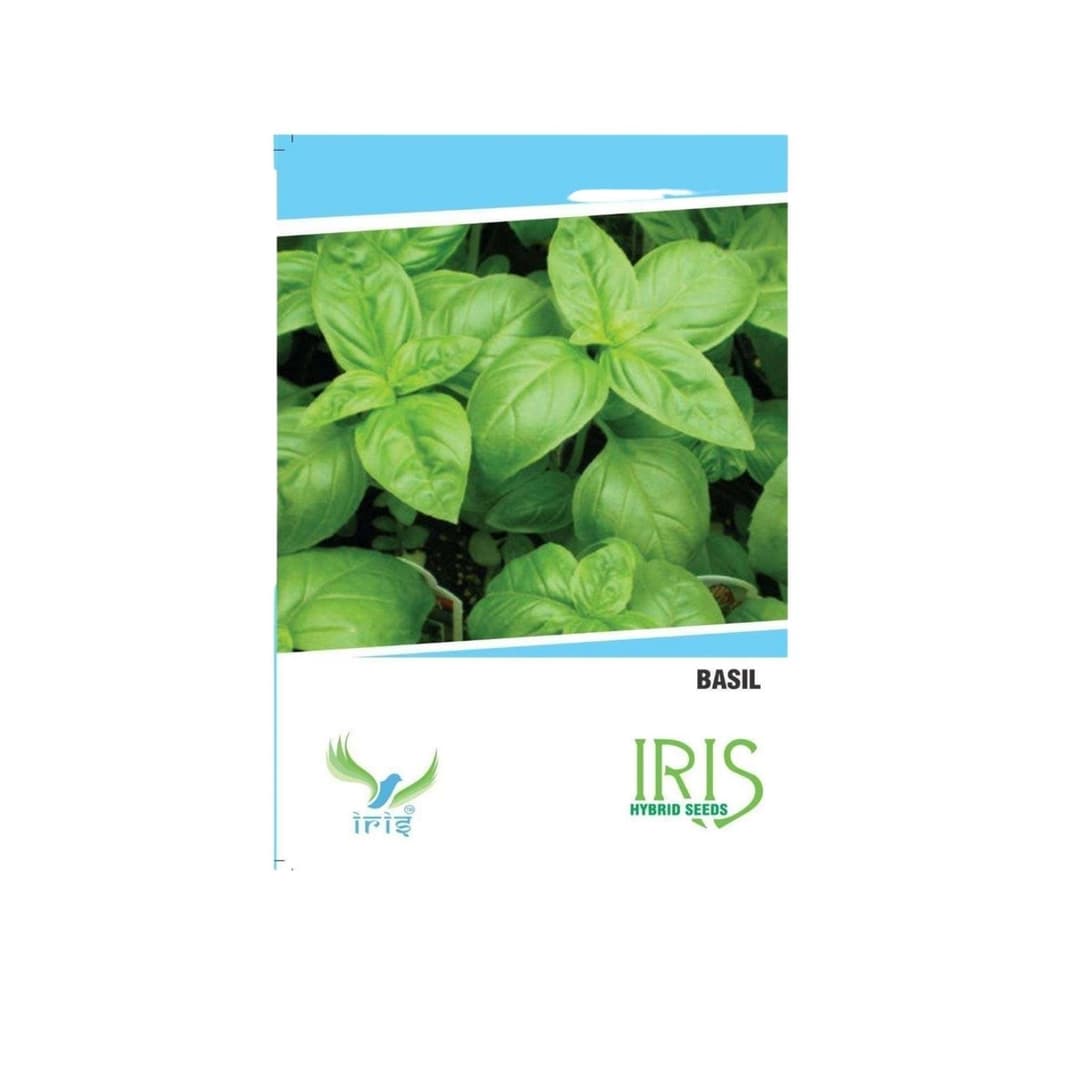 Hybrid Basil Herb Seeds