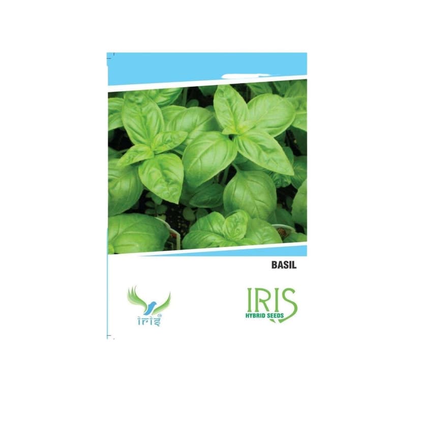 Hybrid Basil Herb Seeds
