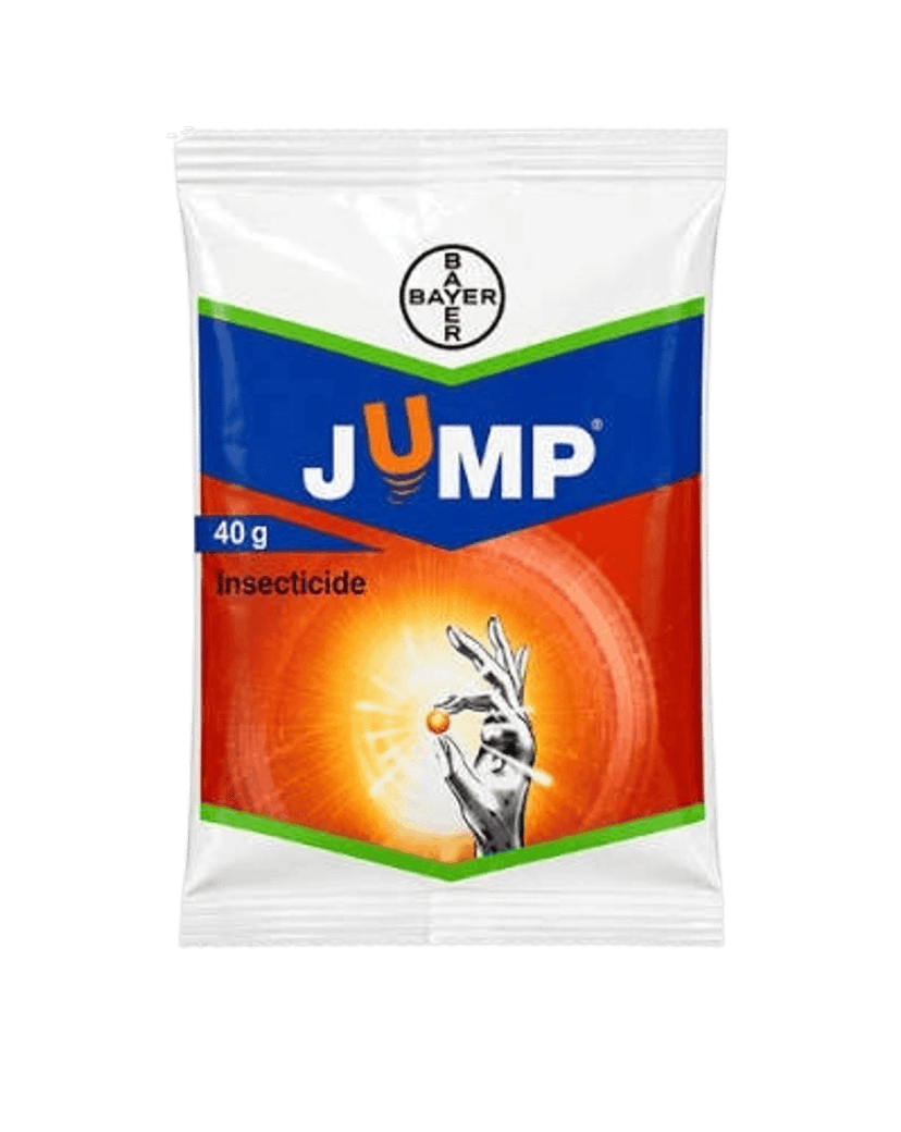Jump WG