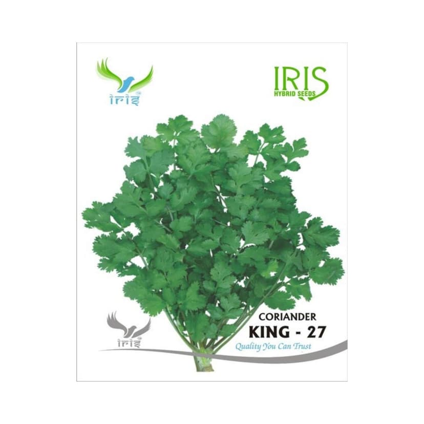Hybrid Coriander King 27 Split Vegetable Seeds