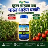 Hifield-AG promotion