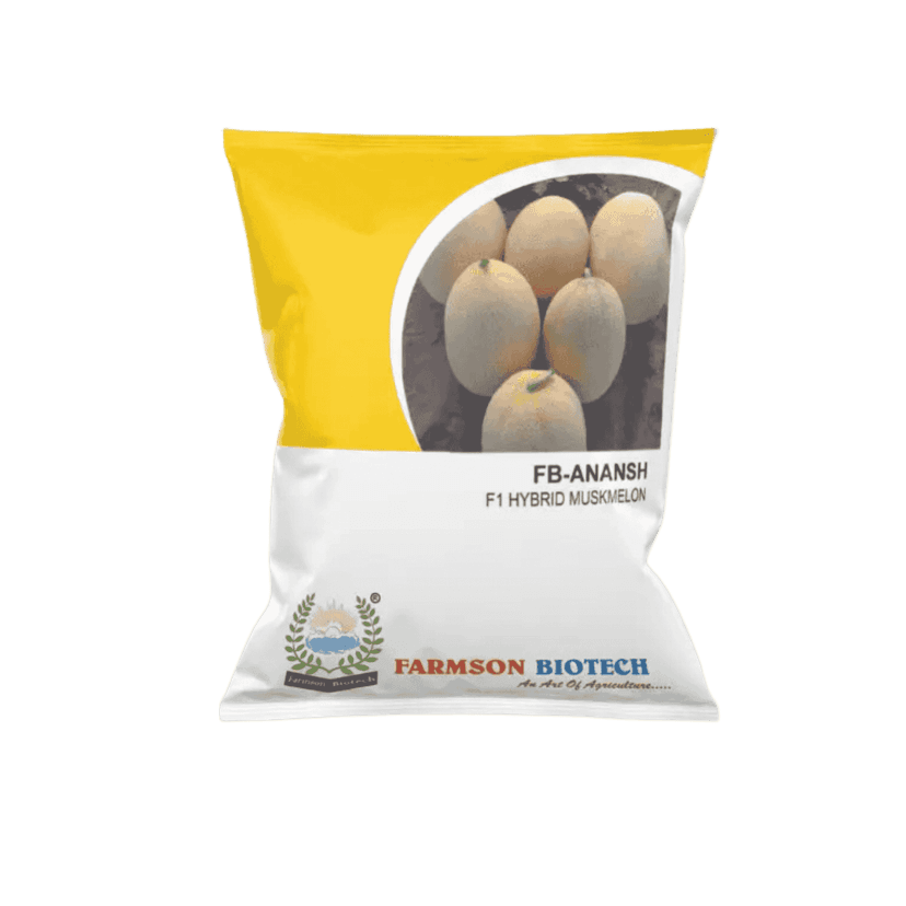 FB ANANAS F1 Hybrid Muskmelon Seed
