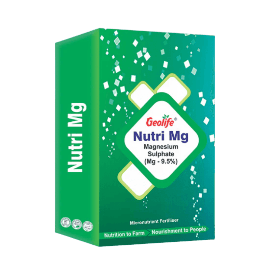 Single Nutrient Fertilizer with Nano Technology MG