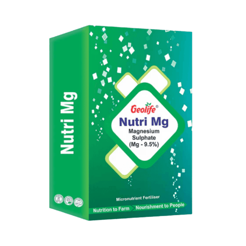 Single Nutrient Fertilizer with Nano Technology MG