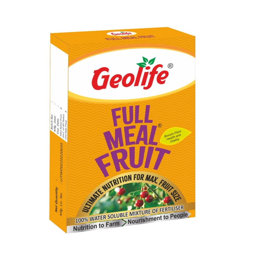 Full meal Fruit